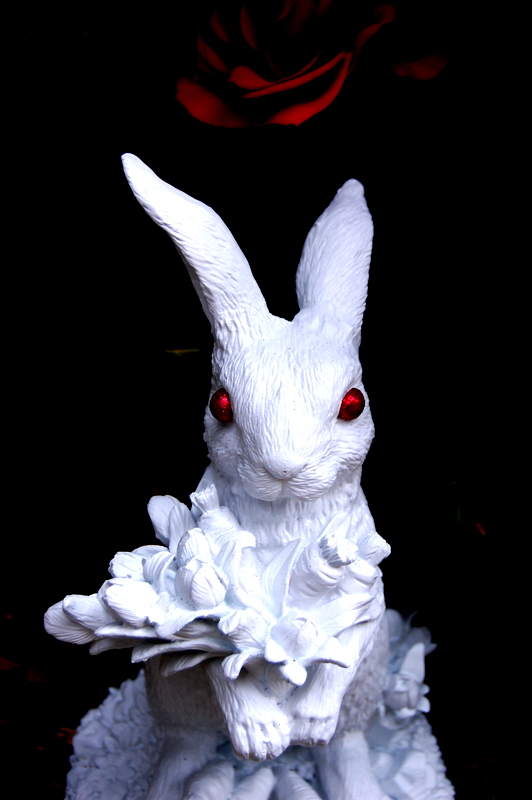 scary-rabbit-halloween