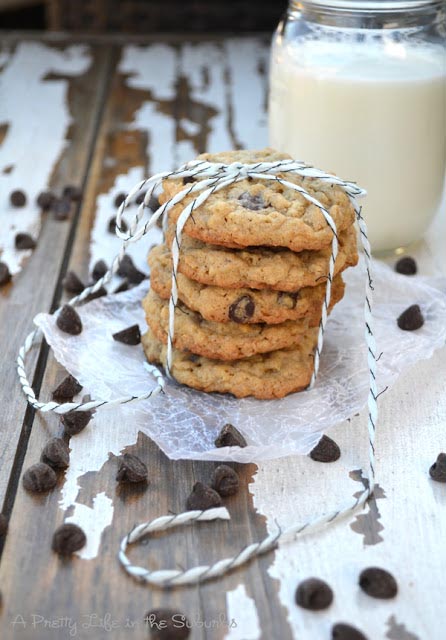 ChocChipCookie ChocChipCookie