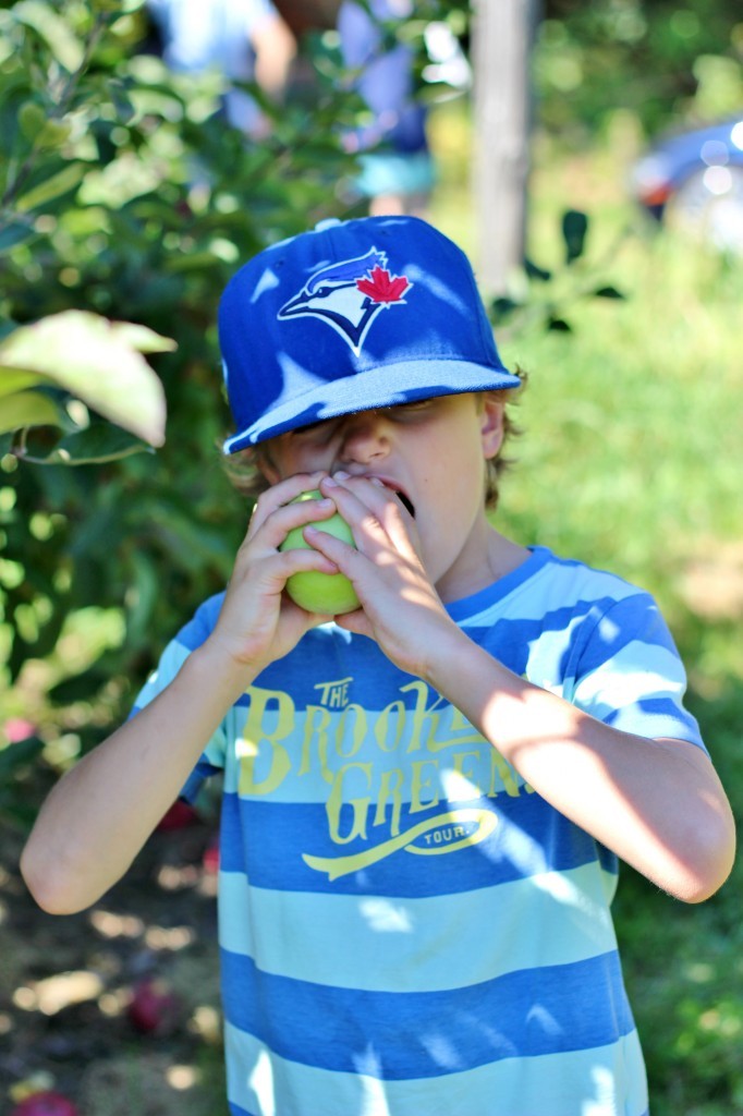 applepickingkai-682x1024 applepickingkai-682x1024