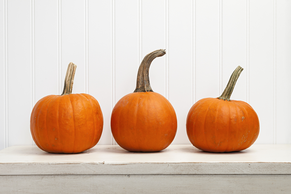 6 Ways to Spark Passion for Pumpkin - SavvyMom