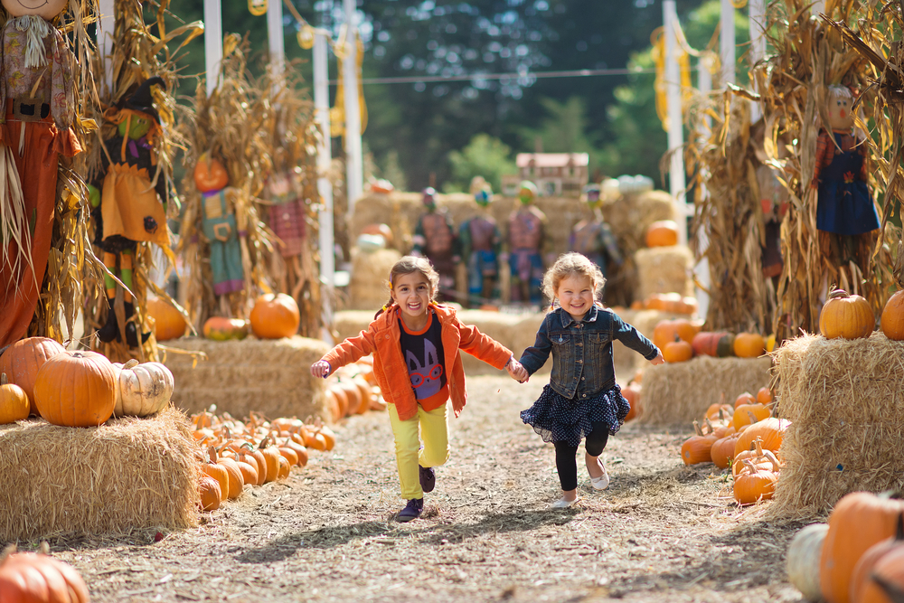 Kids Running in Pumpkin Patch