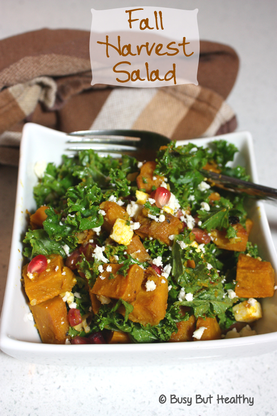 Fall-Harvest-Salad_main Fall-Harvest-Salad_main