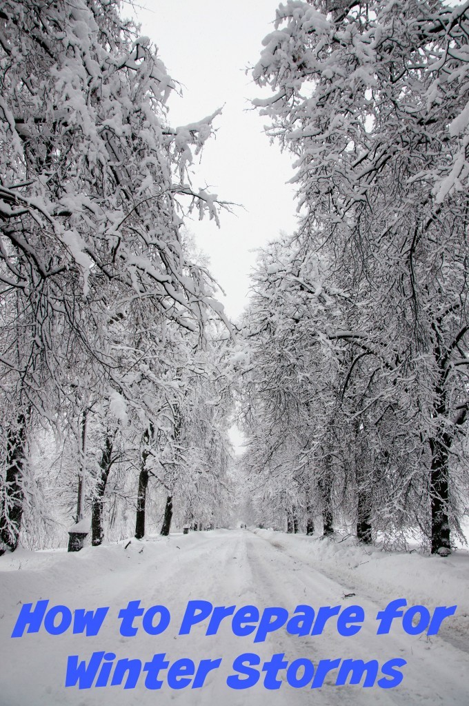 How-to-Prepare-for-Winter-Storms-680x1024