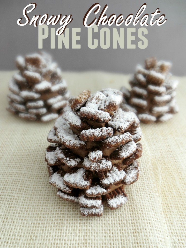SnowyChocolatePineCones-769x1024 SnowyChocolatePineCones-769x1024