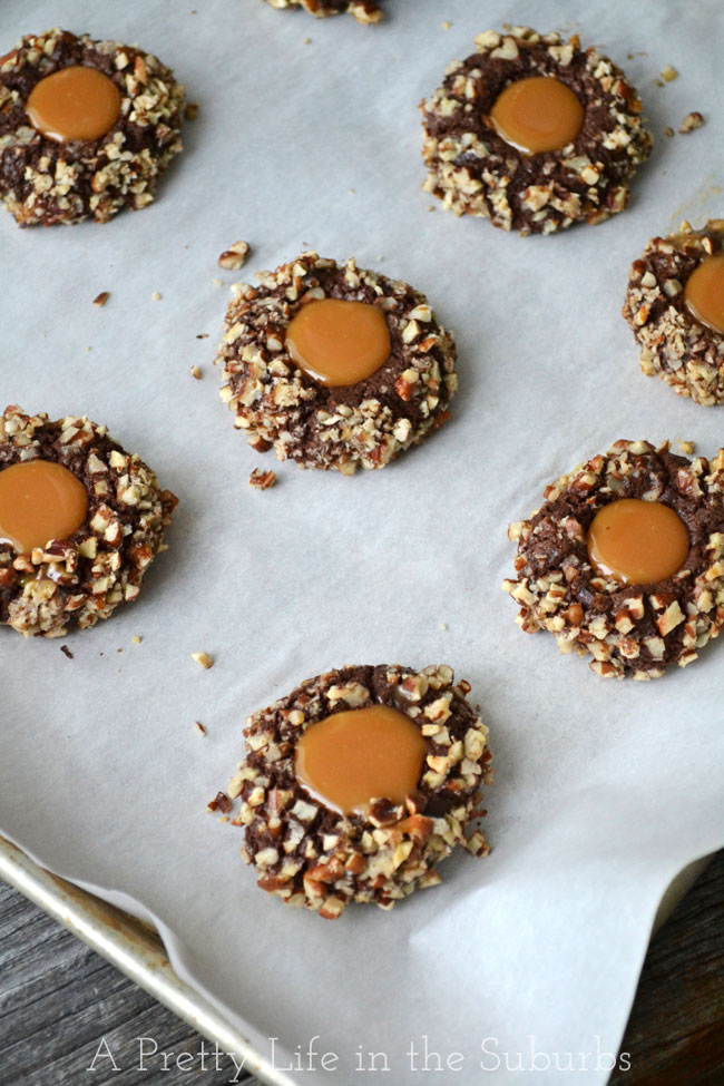 Turtle-Cookies-A-Pretty-Life5 Turtle-Cookies-A-Pretty-Life5