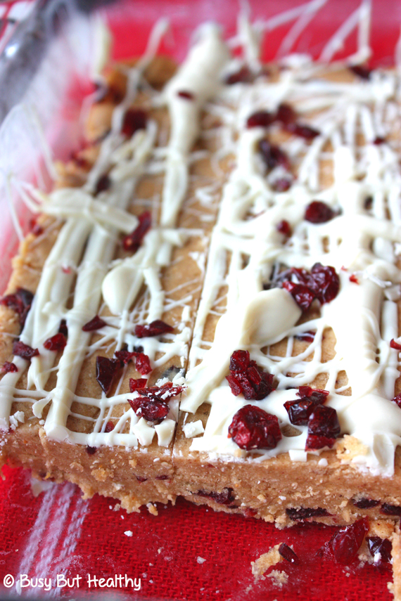 White-Chocolate-Cranberry-Protein-Bars_1 White-Chocolate-Cranberry-Protein-Bars_1