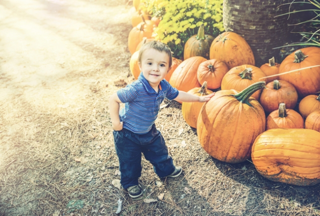 little_boy_with_pumpkin