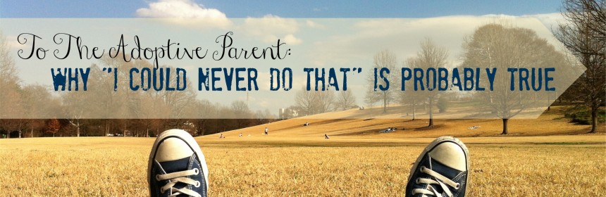 BlogICouldNeverDoThat-860x280 BlogICouldNeverDoThat-860x280