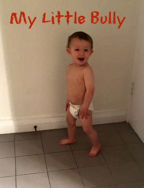 littlebully-e1420511247264 littlebully-e1420511247264