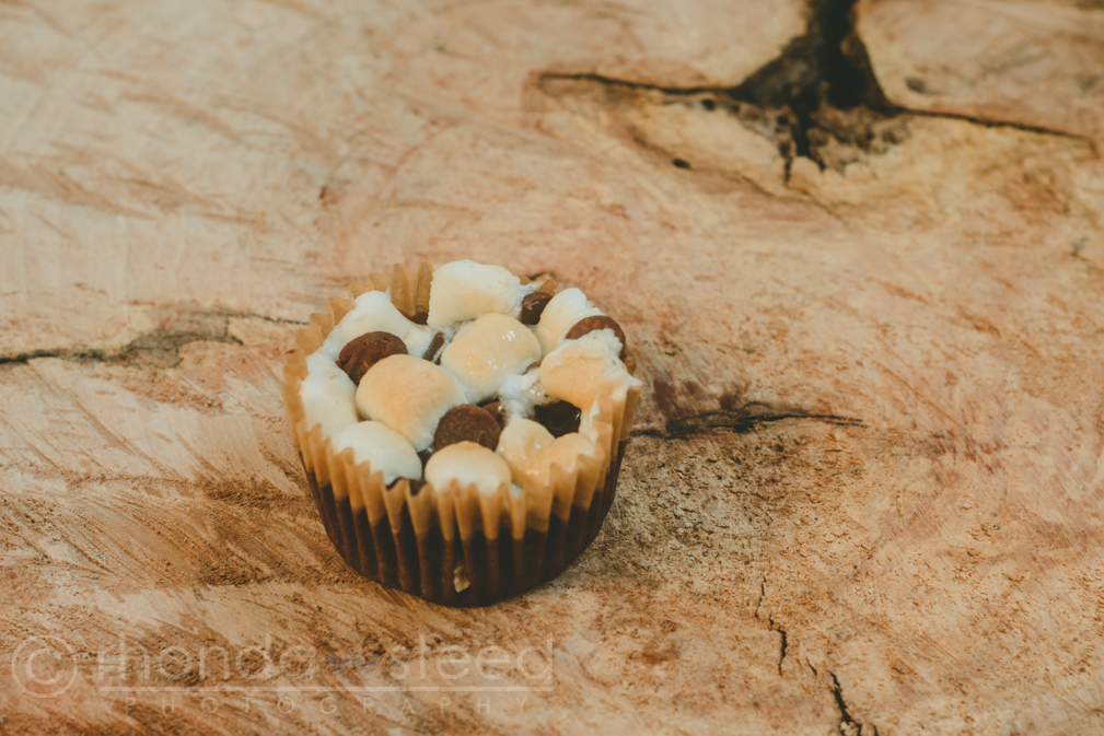 MiniChocolateCheesecakes-7112