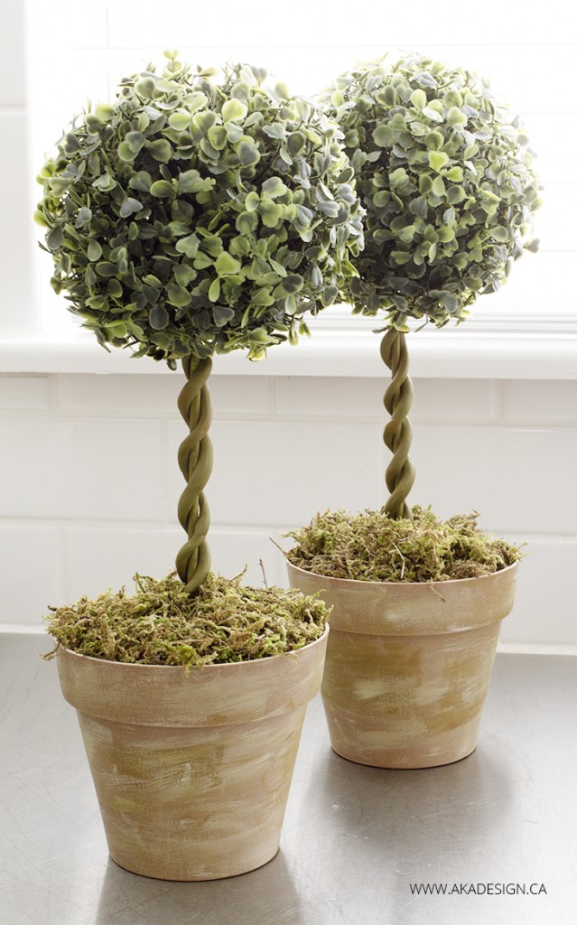 diy-topiary-trees-in-bamboo-pots-made-to-look-like-terra-cotta