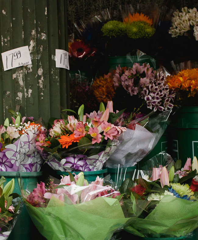 flowers flowers