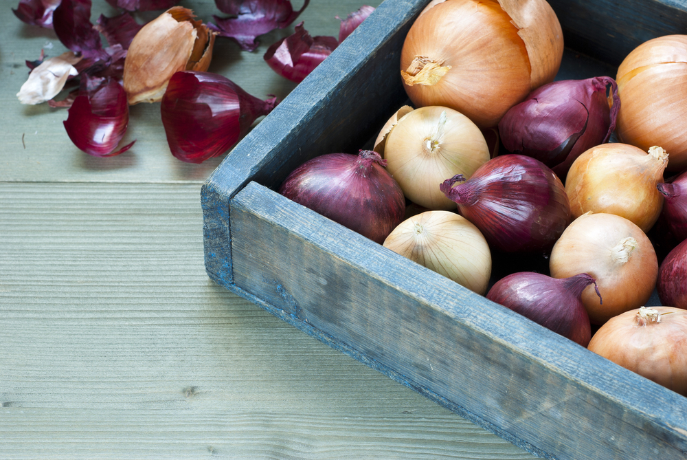 recipegeek-food_talk-onions_101 recipegeek-food_talk-onions_101