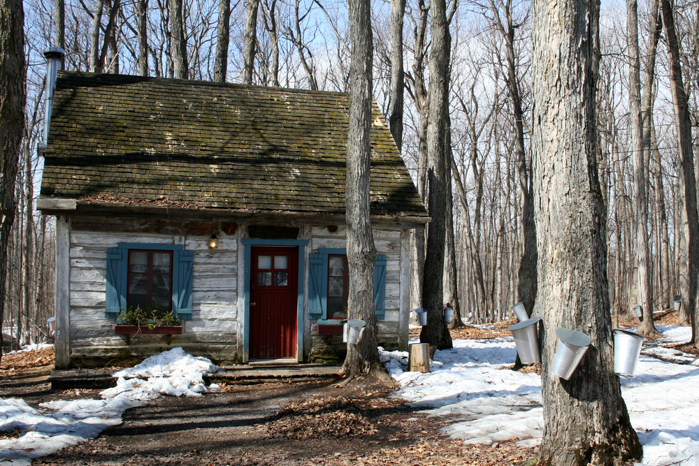 recipegeek-trending-maple_syrup_sugar_shacks_101 recipegeek-trending-maple_syrup_sugar_shacks_101