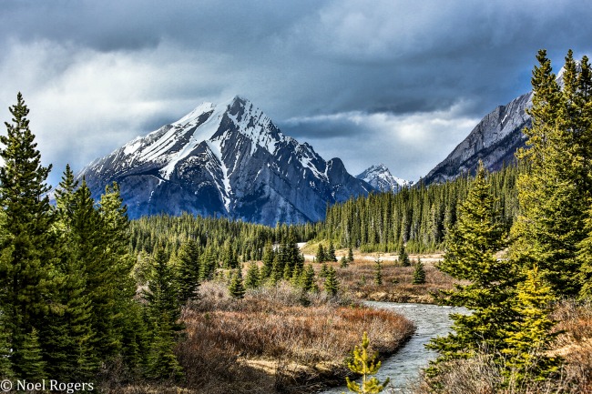 Rockies