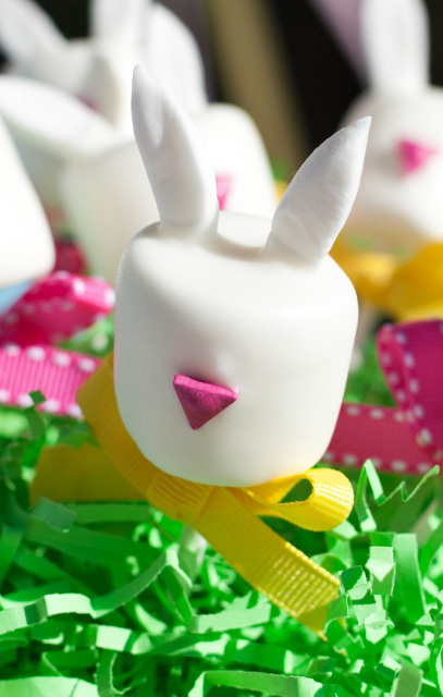 eastershoot-bunny