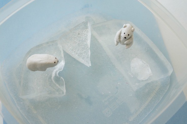 polar-bears-on-polar-ice-600x399