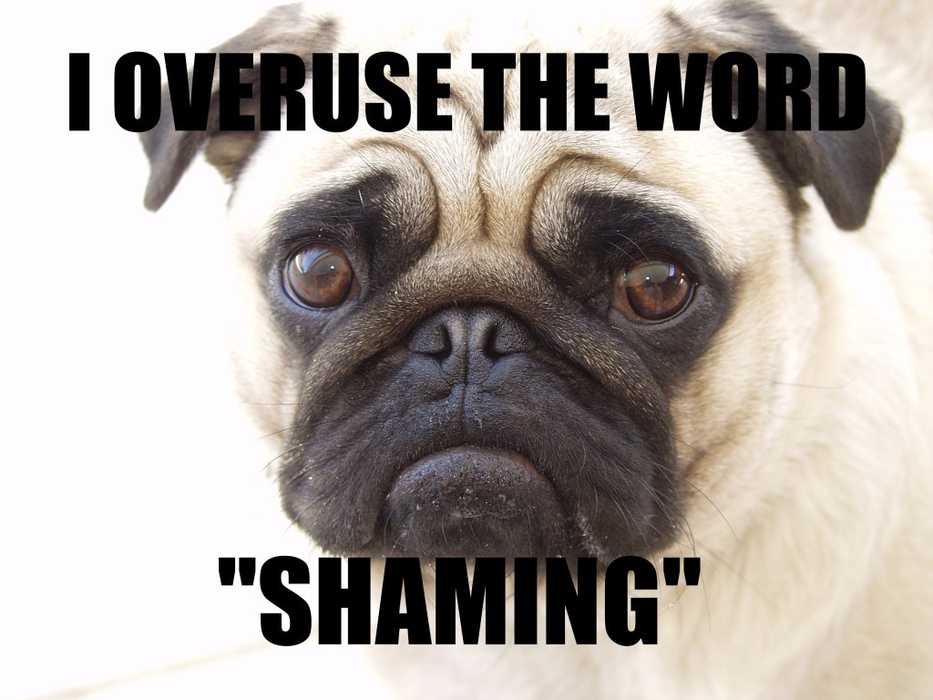 shame-dog-1-1024x768