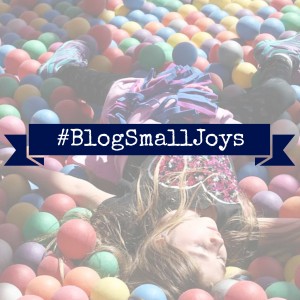 BlogSmallJoys-300x300 BlogSmallJoys-300x300