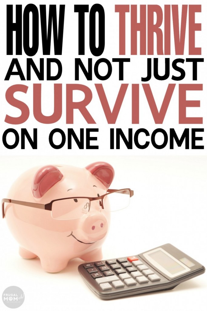 How-to-Thrive-and-Not-Just-Survive-on-ONE-Income How-to-Thrive-and-Not-Just-Survive-on-ONE-Income