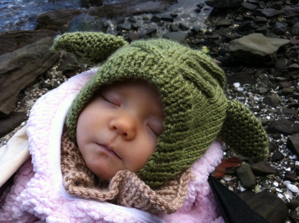 IMG_3864 IMG_3864