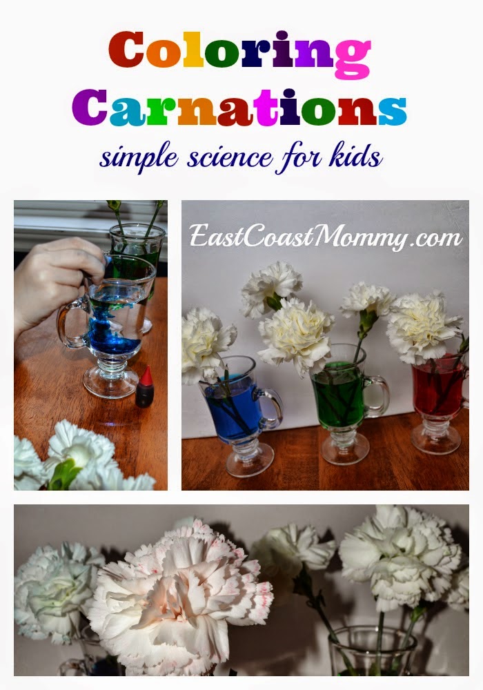 coloring_carnations coloring_carnations
