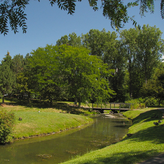 Best Parks and Picnic Spots in Ottawa - Andrew Haydon Park