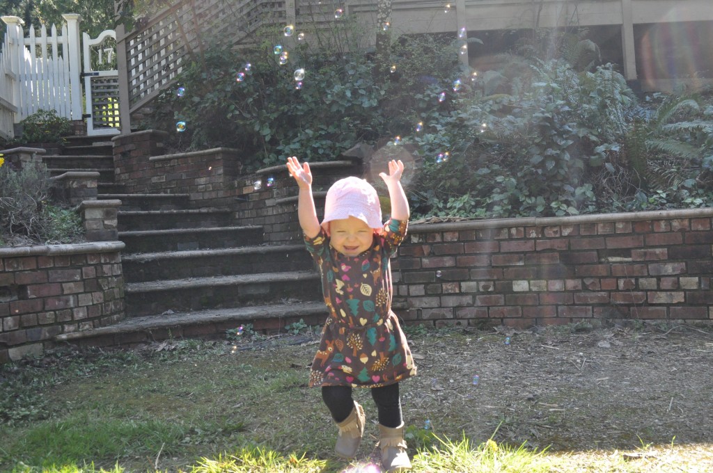 DSC_0430 DSC_0430