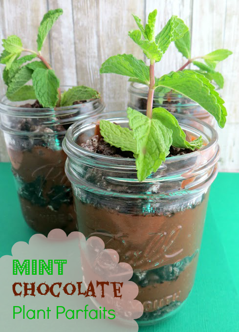 Mint-Chocolate-Plant-Parfaits