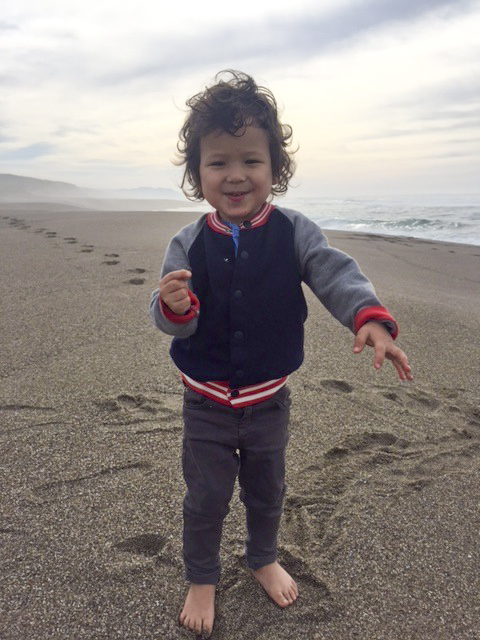 Point-Reyes-Beach