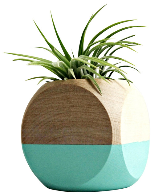 contemporary-indoor-pots-and-planters