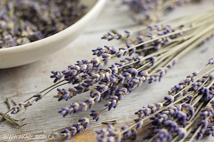 dried-lavender