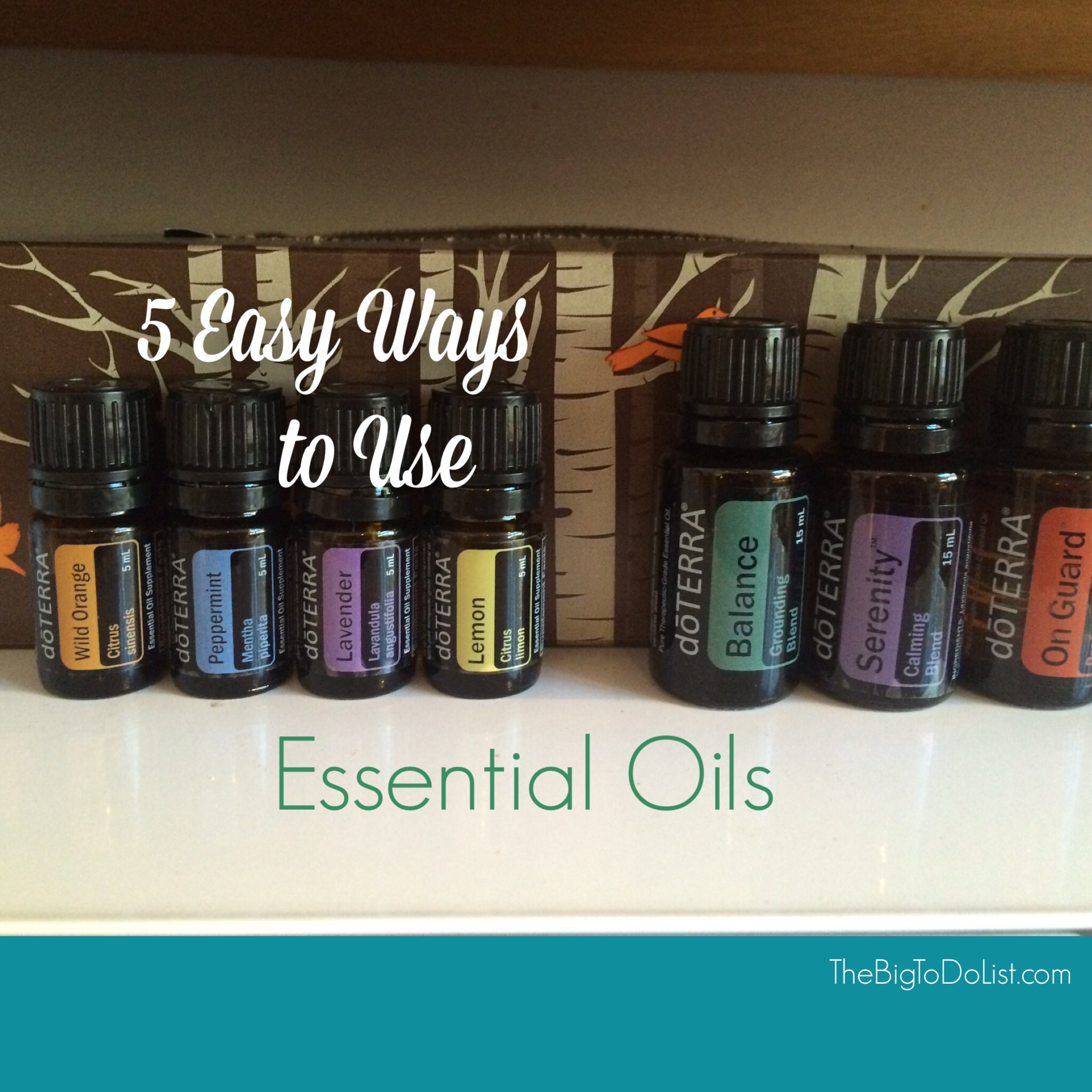 5 Easy Ways to Use Essential Oils - SavvyMom