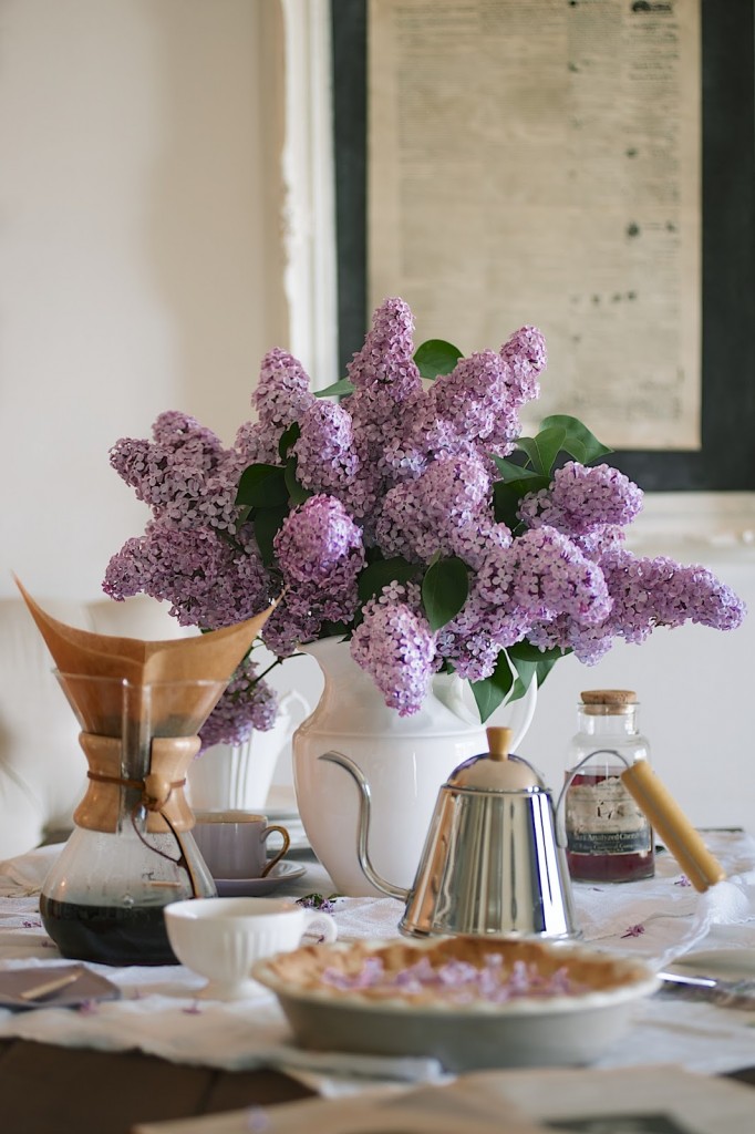 lilac2B252832529 lilac2B252832529