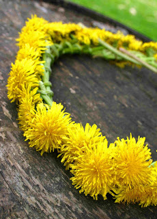low-res.-Dandylion-Crown-1 low-res.-Dandylion-Crown-1