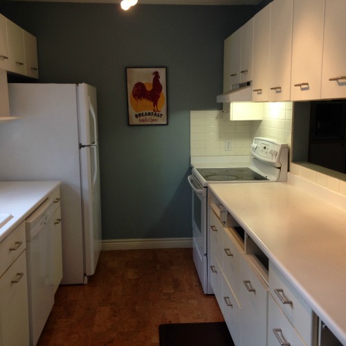 white-galley-kitchen