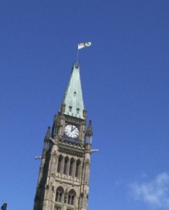 IMG_0559-242x300 IMG_0559-242x300