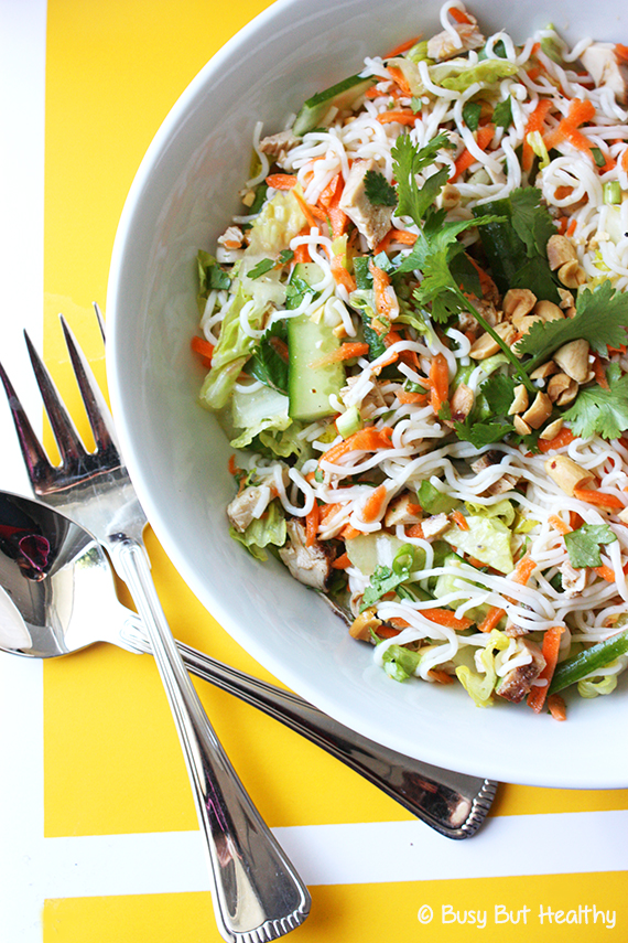 Shirataki-Vietnamese-Salad_1 Shirataki-Vietnamese-Salad_1