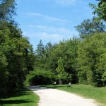 best park and picnic spot in Toronto: Cedarvale Park and Ravine