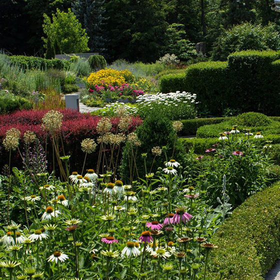 Best picnic spots in Toronto: Edwards Gardens