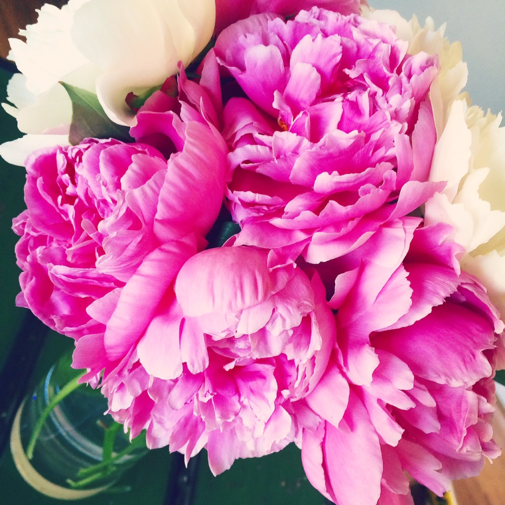 peonies-1024x1024 peonies-1024x1024