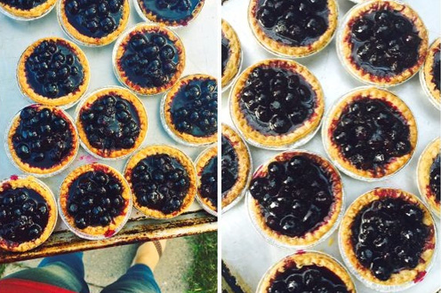 15 minute blueberry tarts