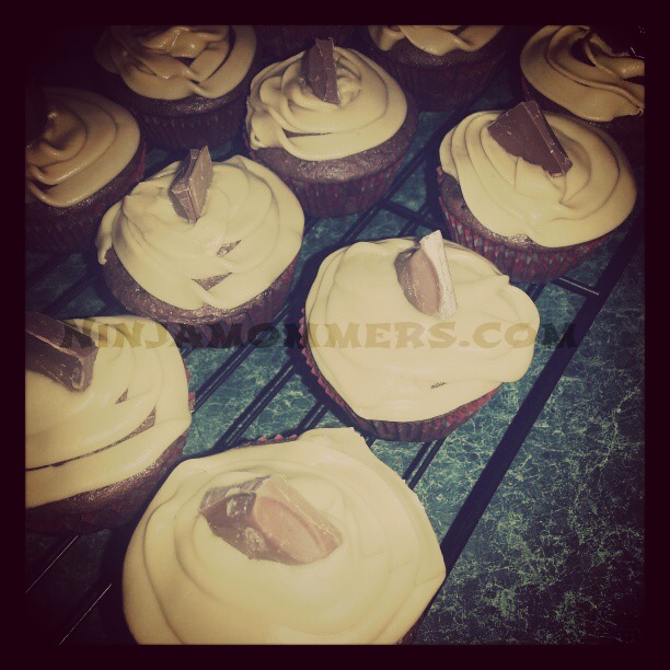 Cupcakes Cupcakes
