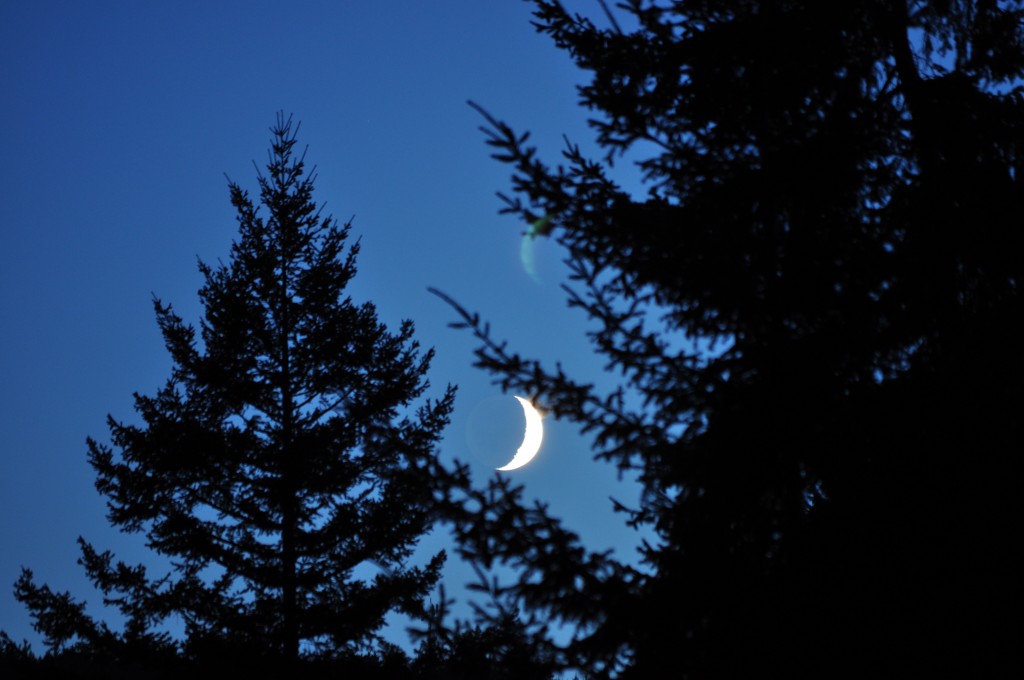 DSC_0350 DSC_0350