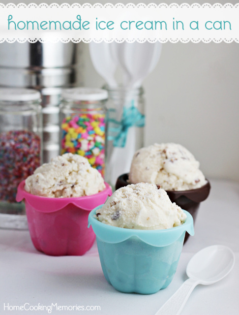 Homemade-Ice-Cream-in-a-Can Homemade-Ice-Cream-in-a-Can