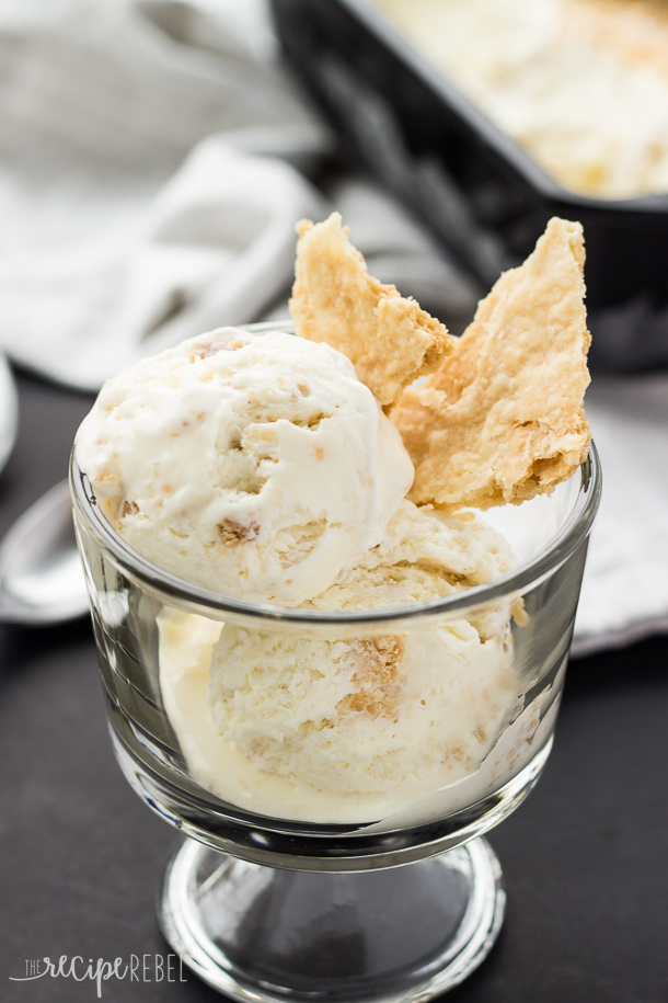 No-Churn-Coconut-Cream-Pie-Ice-Cream-www.thereciperebel.com-6-of-7 No-Churn-Coconut-Cream-Pie-Ice-Cream-www.thereciperebel.com-6-of-7