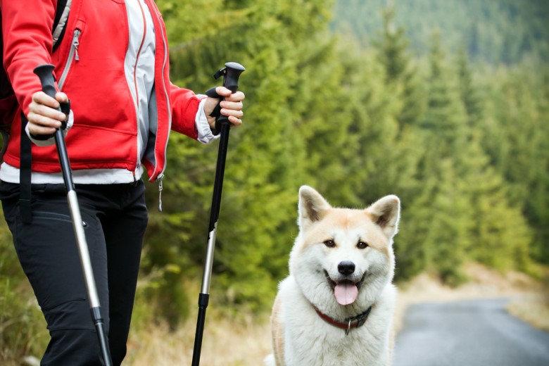 shutterstock_64543834-780x520 shutterstock_64543834-780x520