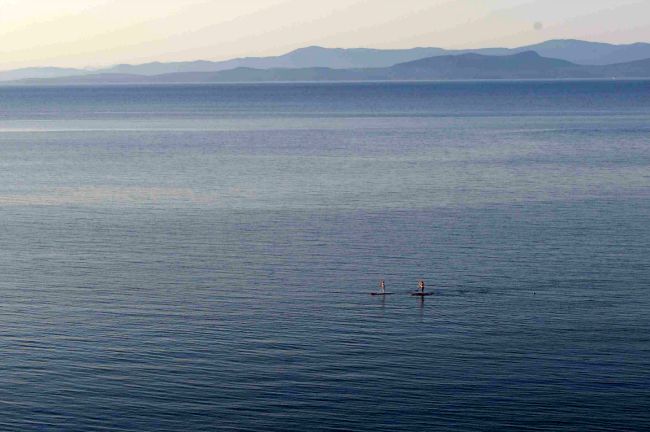 2-Paddleboarders