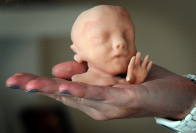 baby_3d_model_0 baby_3d_model_0