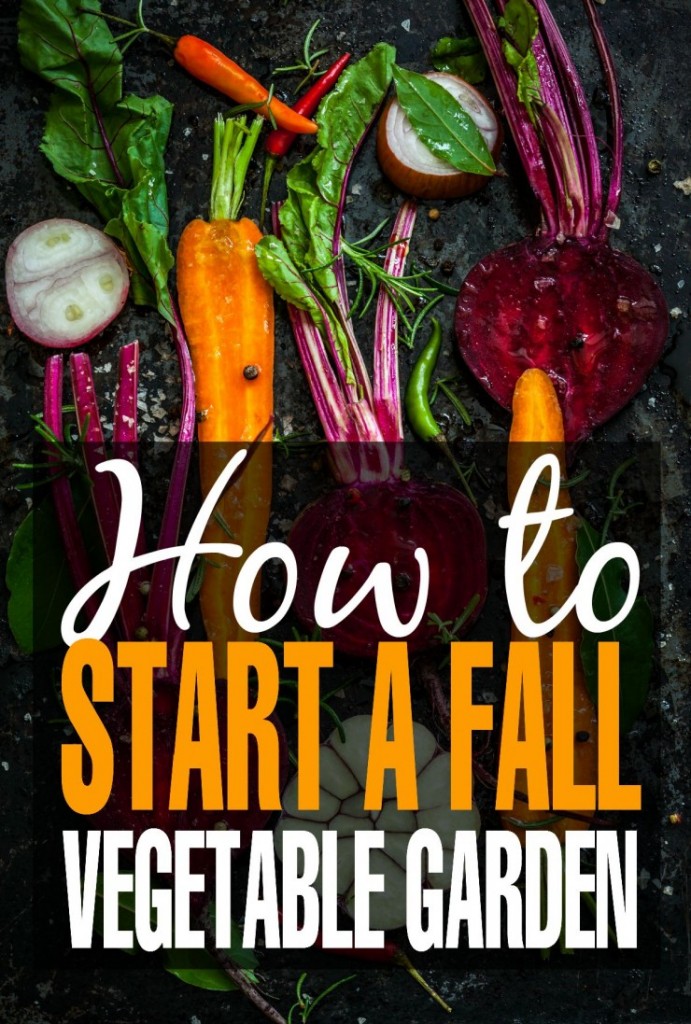 fall-vegetable-garden